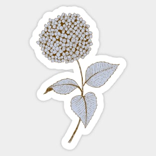 Hydrangea flower botanical line drawing in light blue Sticker